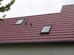 Bild 007